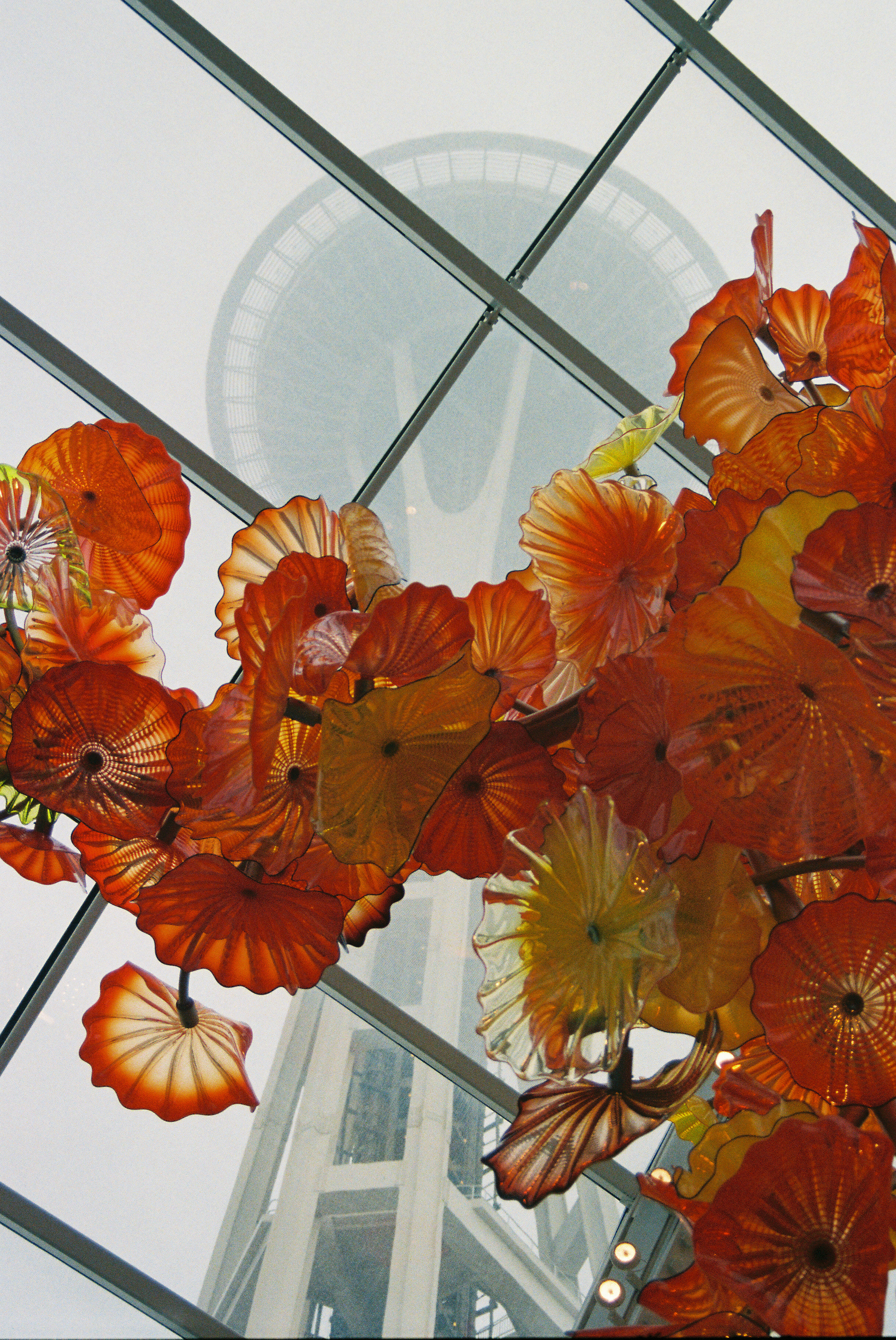 Chihuly Museum